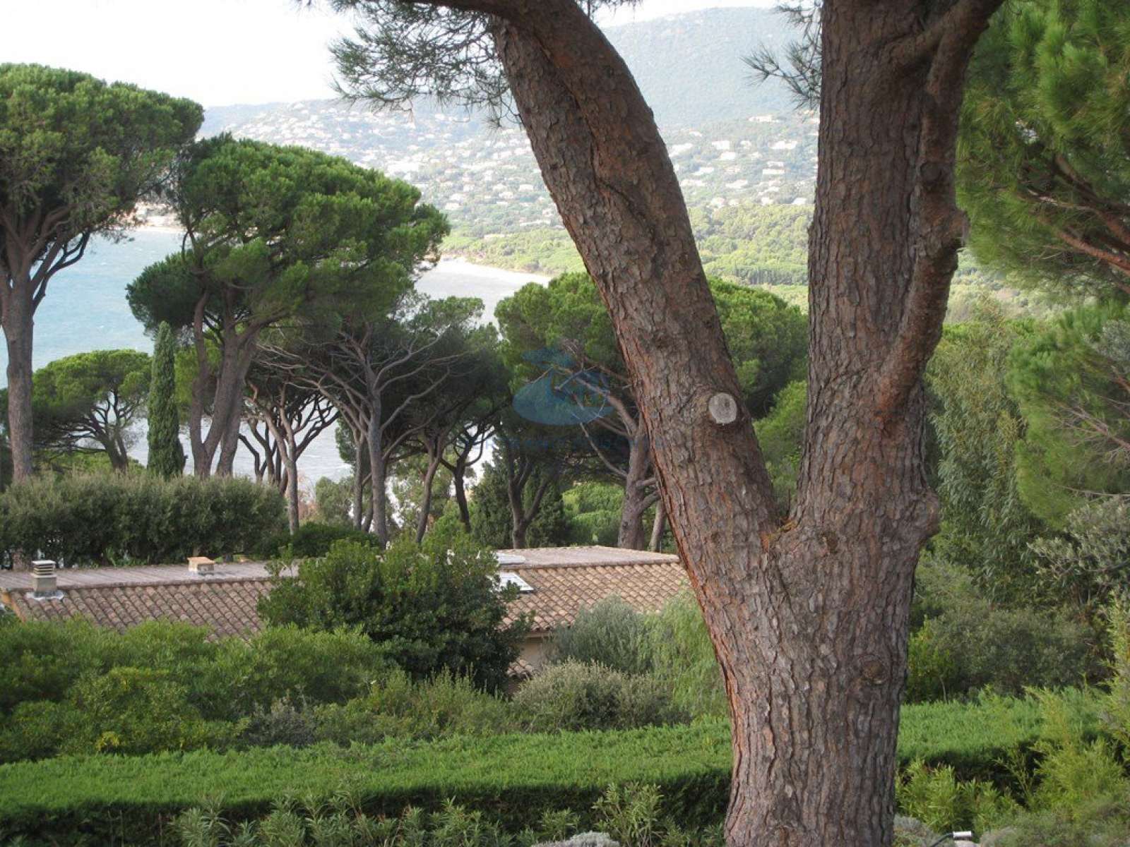 Image_30, Villa, Cavalaire-sur-Mer, ref :VILLA  MARBELLA